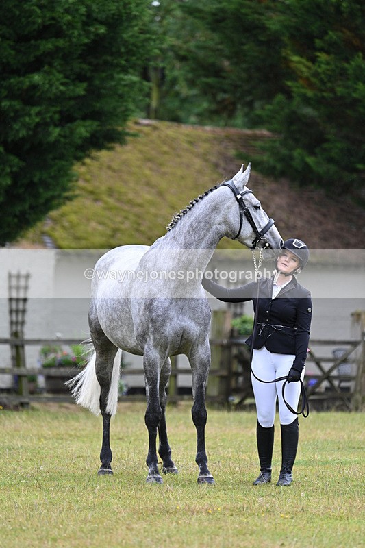 WJ7_6140 - Class 4a Prettiest Mare over 14hh