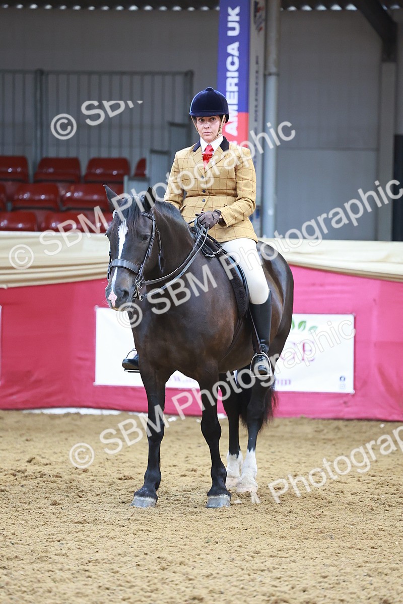 SBM_12662 - Class 103 - HOYS Veteran Qualifier - Ridden Pre Vet