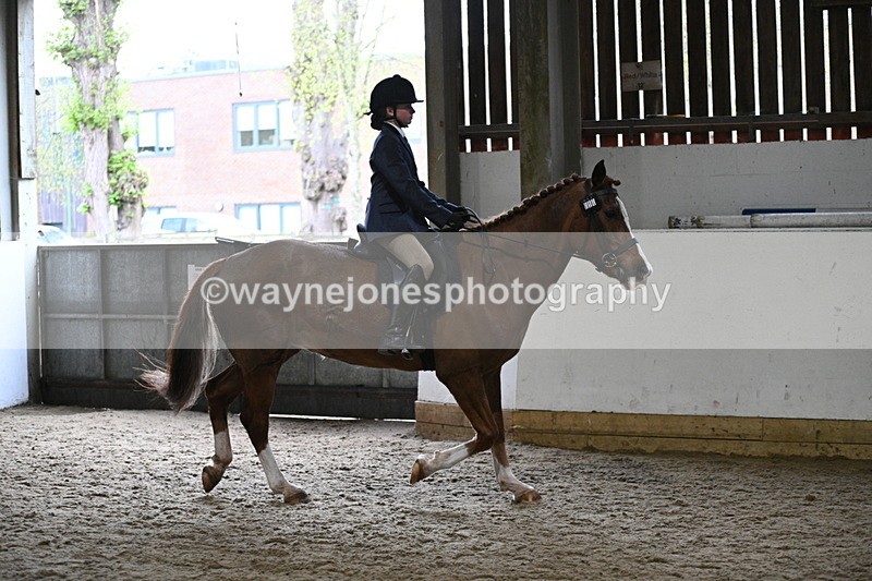 WJ7_3781 - Class 17 Ridden Cob