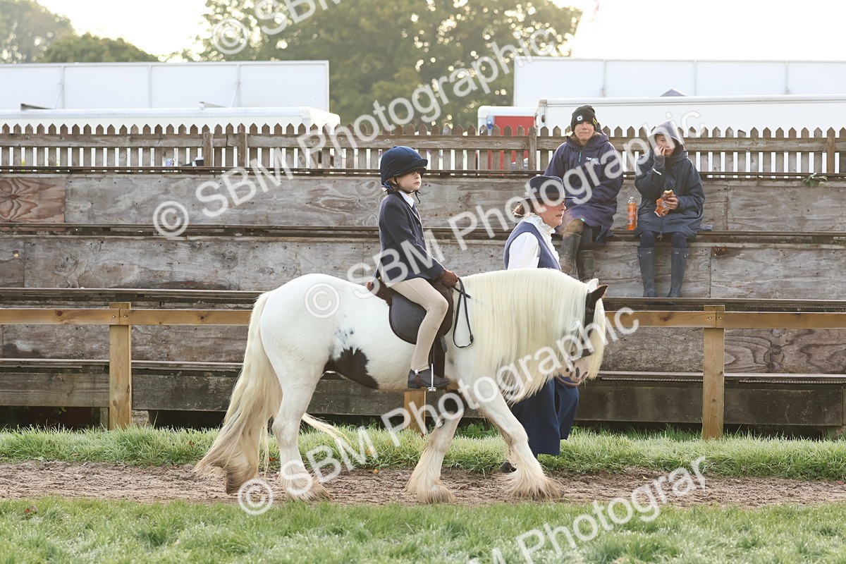 SBM_54492 - S38 - Starters Best Turnout