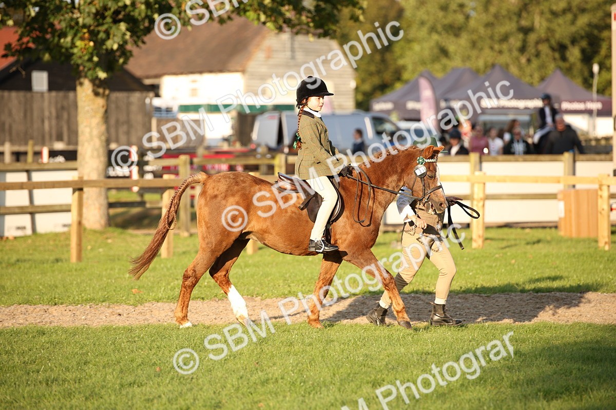SBM_54457 - S27 - Mature Veteran - Ridden