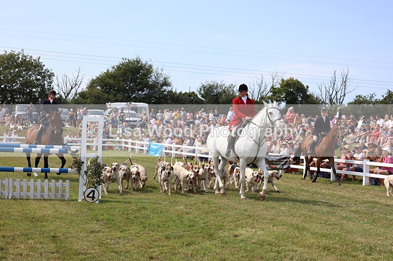 3E7A0136 - Parade of Hounds
