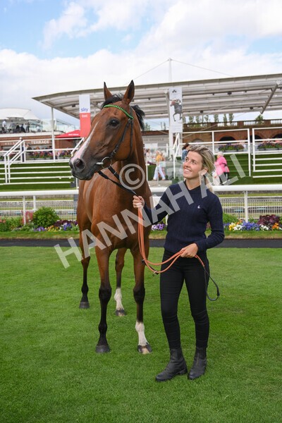 yr10062022r7-46 - Race 7 5.10pm Andy Thornton Hospitality Furniture Stakes