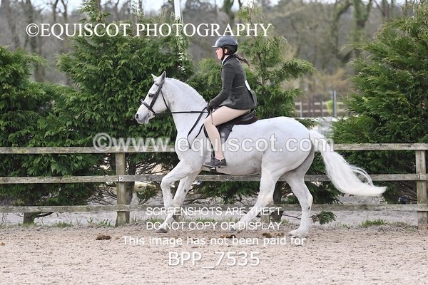 BPP_7535 - RING 1  (RIDDEN HORSES / IN HAND / VETERAN ETC)