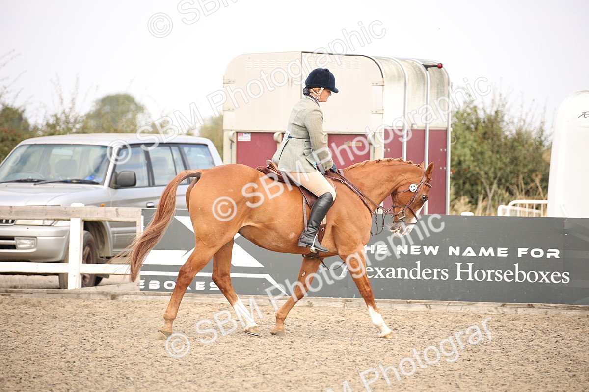 SBM_13575