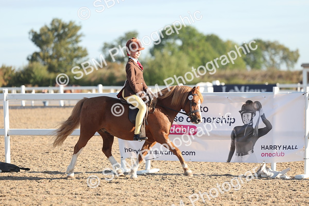 SBM_10898 - Class 301 - Ridden M&M Small Breeds