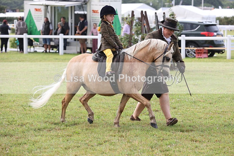 JPP_0390 - Class 14: Cornish Combination Leading Rein