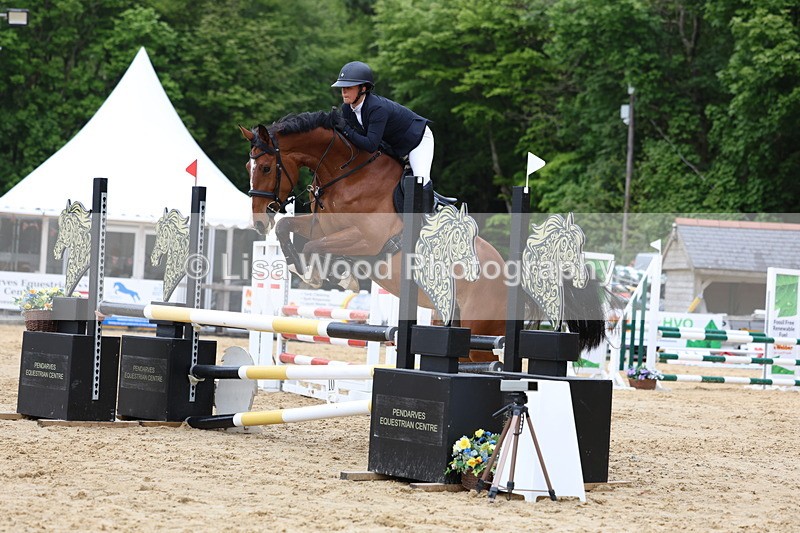 3E7A6174 - Class 4: Senior British Novice/90cm open