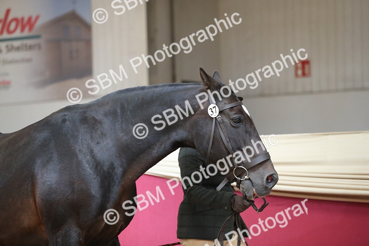 SBM_04302 - Class 7R Regional - IH Diamond