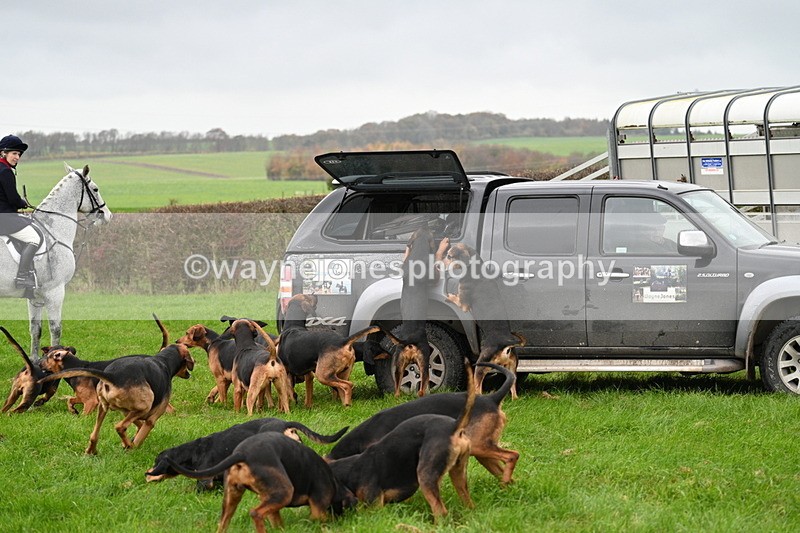 WJ7_8880 - Meet Staff & Hounds