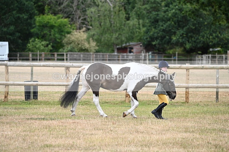 WJ6_4171 - Class 10 Coloured In-hand