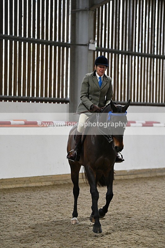 WJ7_4287 - Class 17 Ridden Cob