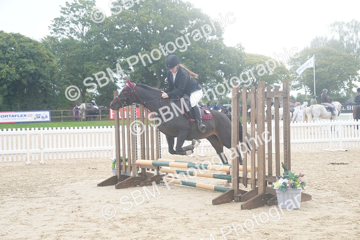 SBM_01916 - J54 - Clear Round 50cm