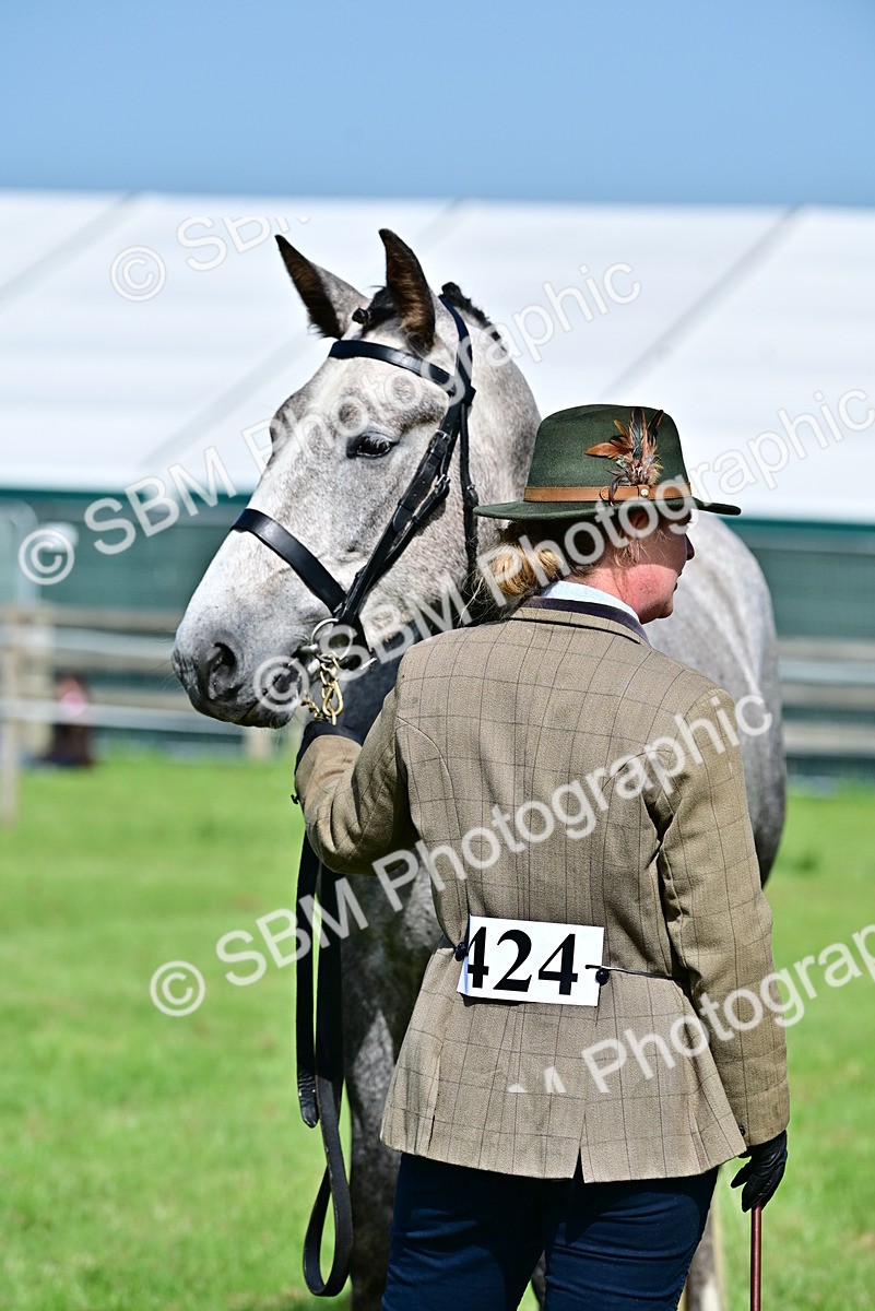 SBM_03336 - Class 50 - 54 Light Horse Breeding