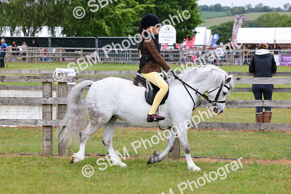 SBM_08535 - Class 42-43 - LIHS BSPS Heritage Working Sports Pony