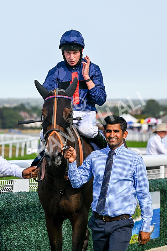 130826-Race 5-Wardlaw-9559 - Race 5 16.15pm Middle Distance Handicap