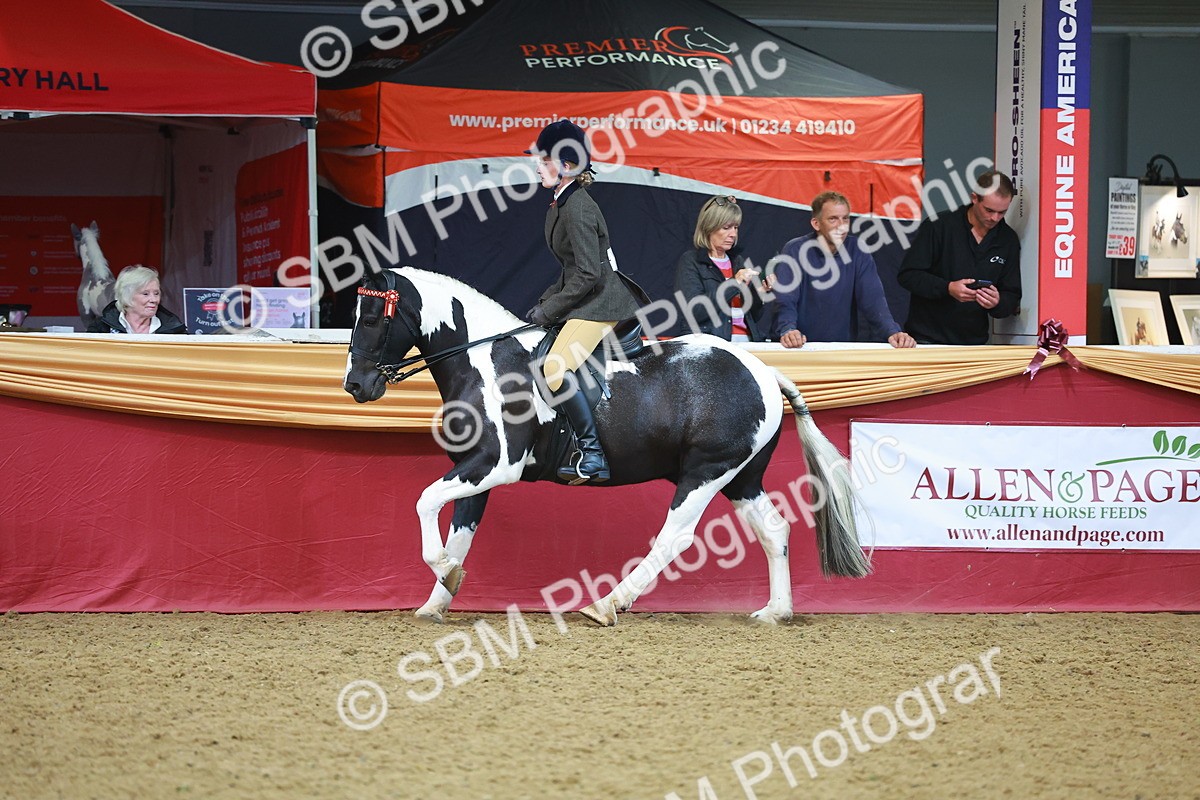 SBM_10689 - Class 103 - HOYS Veteran Qualifier - Ridden Pre Vet