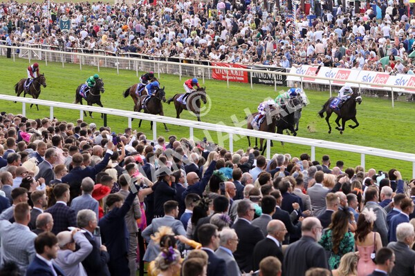 yr20082022r3-13 - Race 3 3.00pm Sky Bet City of York Stakes