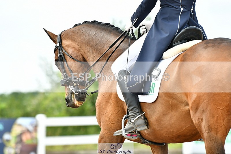 230702A-160808-11112 - Cls 37 + 42 FEI PSG + GP