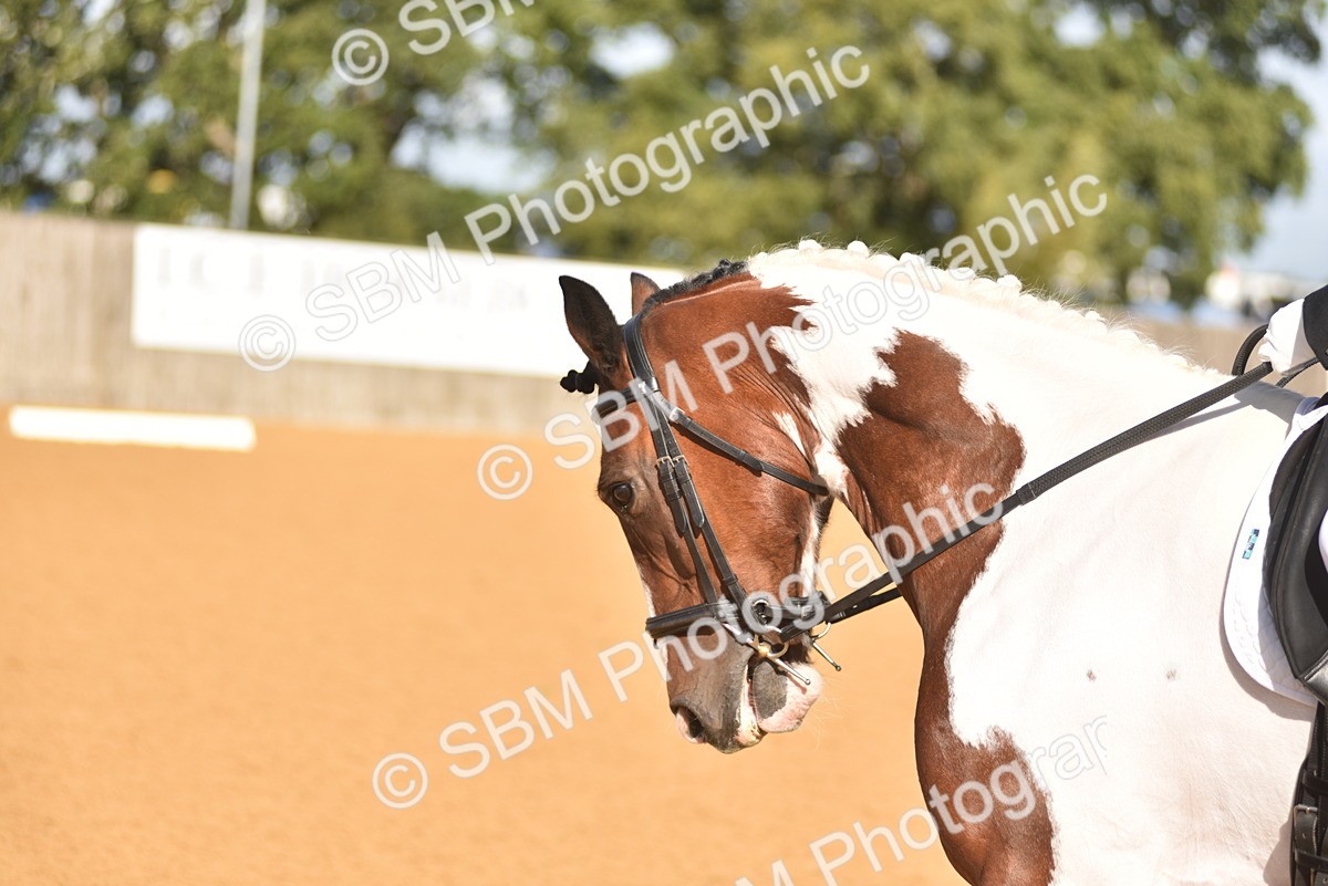 SBM_03184 - D4 - Small Tour Championship Intro 4