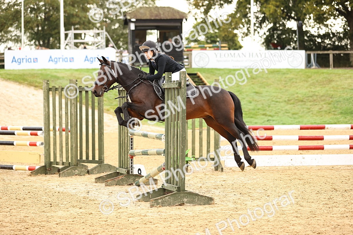 SBM_58294 - J41 - Grand Tour Horse & Pony 95cm