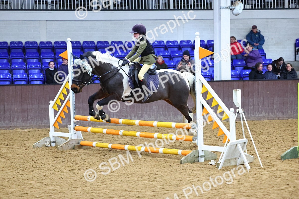 SBM_001474 - Class 3 - Christmas Tree Stakes - 60cm