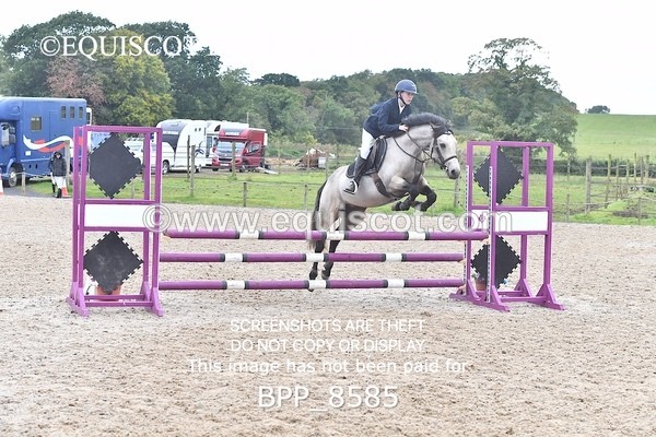 BPP_8585 - CLASS 4 Stepping Stones 128/ 138cms Handicap