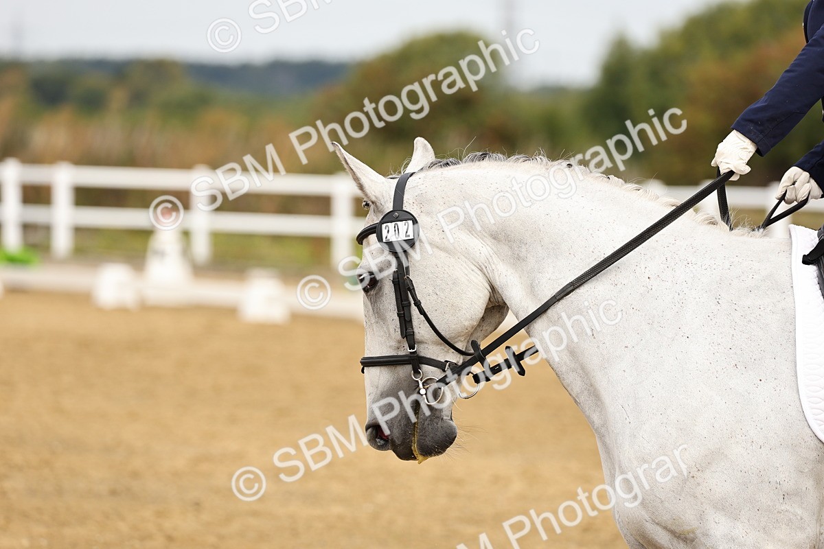 SBM_012317 - Class 2 - Prelim 5