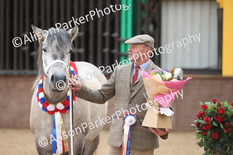 20251109-1235 - Supreme Championship