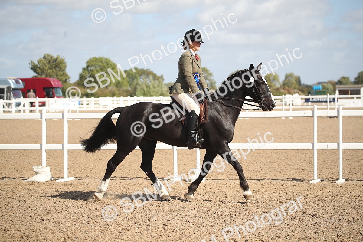 SBM_23011 - Class 603 - 2026 - Ridden Pre Vet