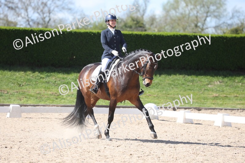 20260405-0583 - Class 7 - Medium 5