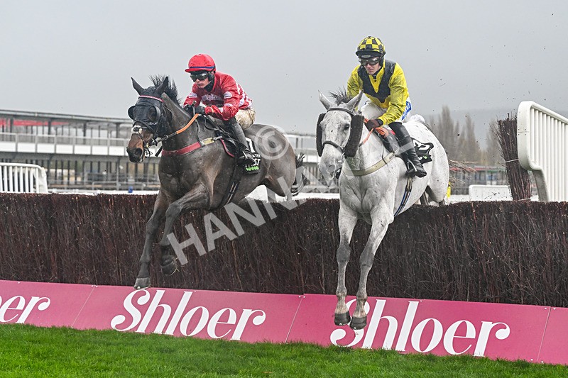 141125-Race 2-Escaria Ten-9556 - Race 2