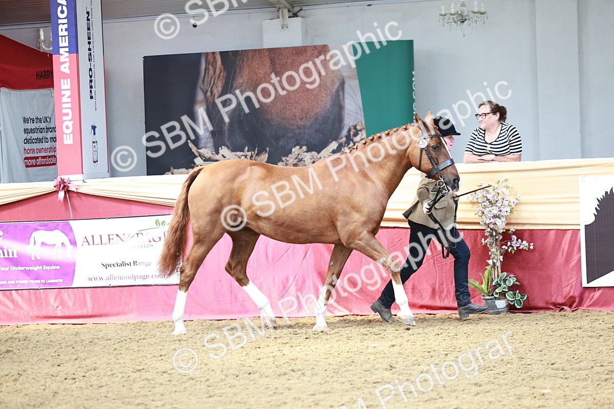 SBM_04744 - Class 7R - Regional IH Diamond