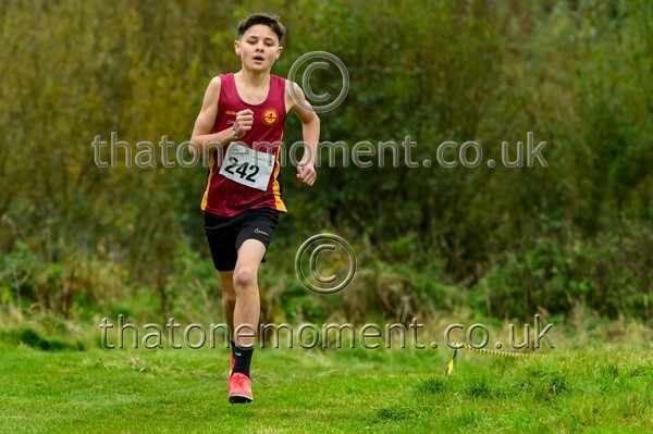 WestRLY25-923647 - Young Male Set One