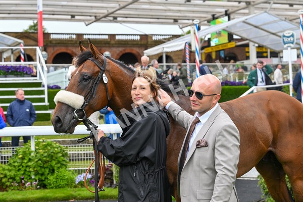 150624-Race 5-The Strikin Viking-7769 - Race 5 4.10pm Reg Griffin Appreciation ebfstallions.com Maiden Stakes