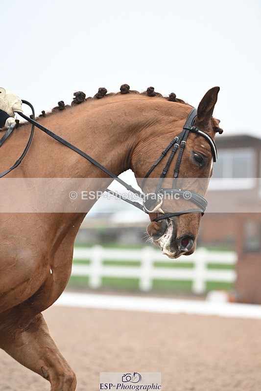 240217A-121407-02568 - 187-Victoria.Powell-W.W.Wilbur.Mac