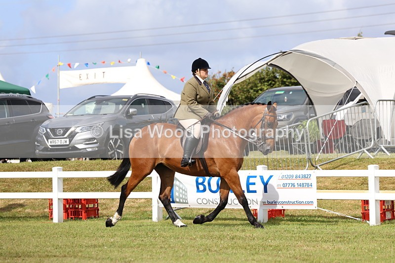 3E7A9288 - Class 4: Rising Star M/H Hunter