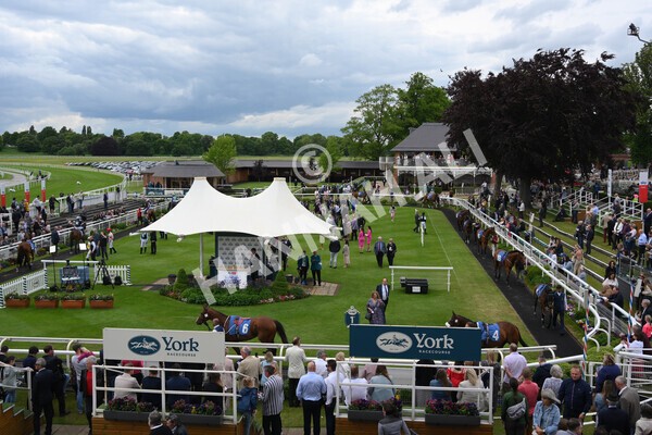 yr22052022r1-6 - Race 1: 3:30pm Sky Bet Sunday Series Apprentice Stakes