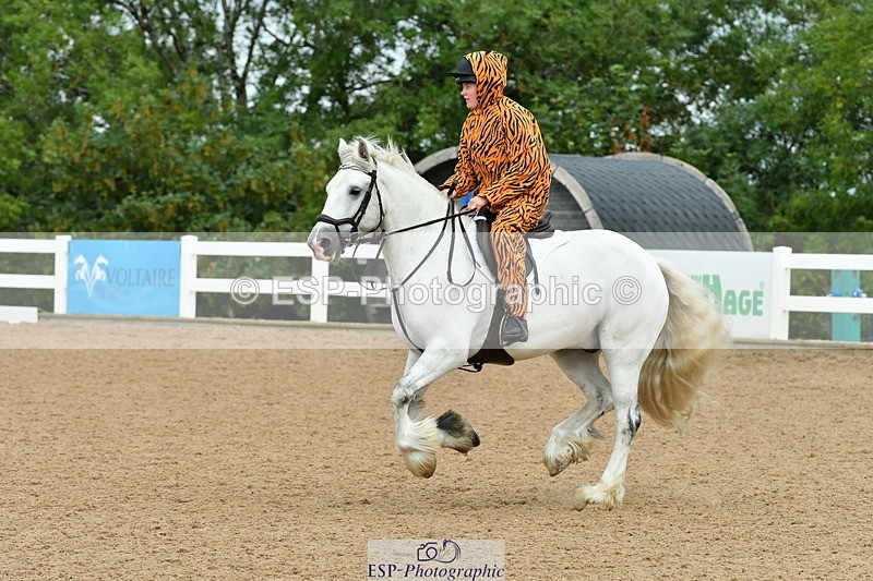 230804A-105902-01786 - Musical Ride