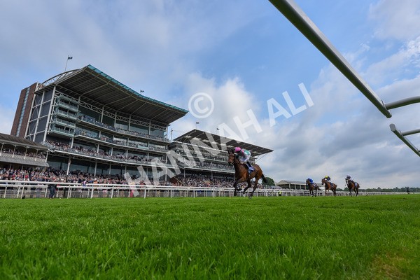 160524-Race 3-Bluestocking-2 - Race 3 3.15pm  Al Basti Equiworld Dubai Middleton Fillies' Stakes