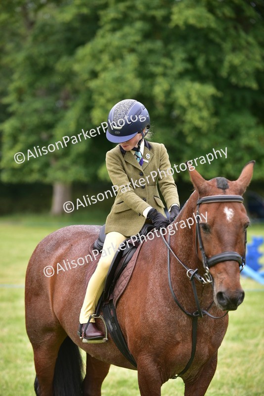 20260614-2703 - Class 13 - Pony Club Pony