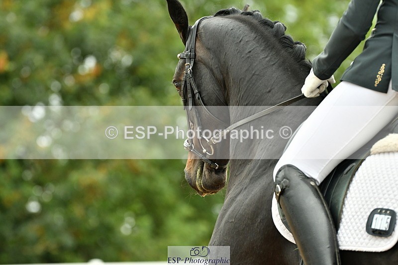 230912A-125112-00956 - Cls 12 Music Medium