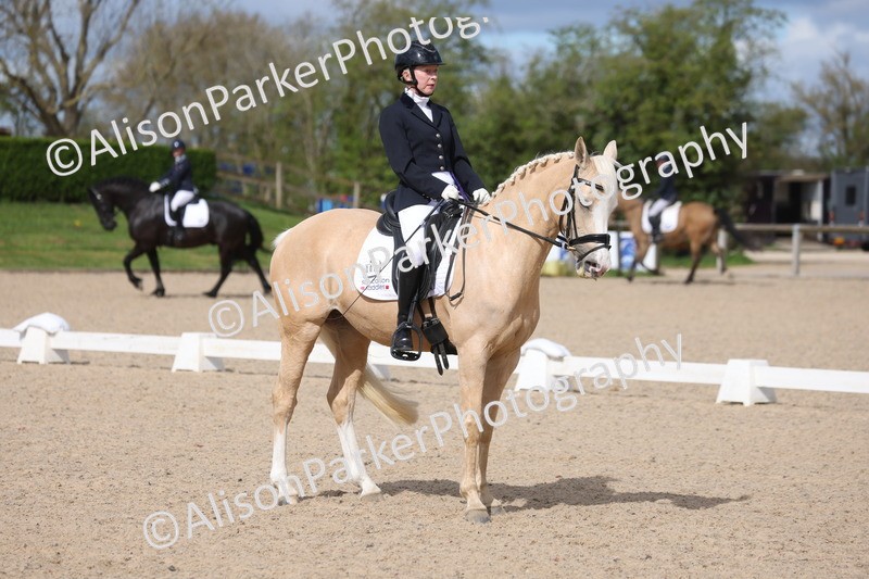 20260405-0218 - Class 3 - Novice 5