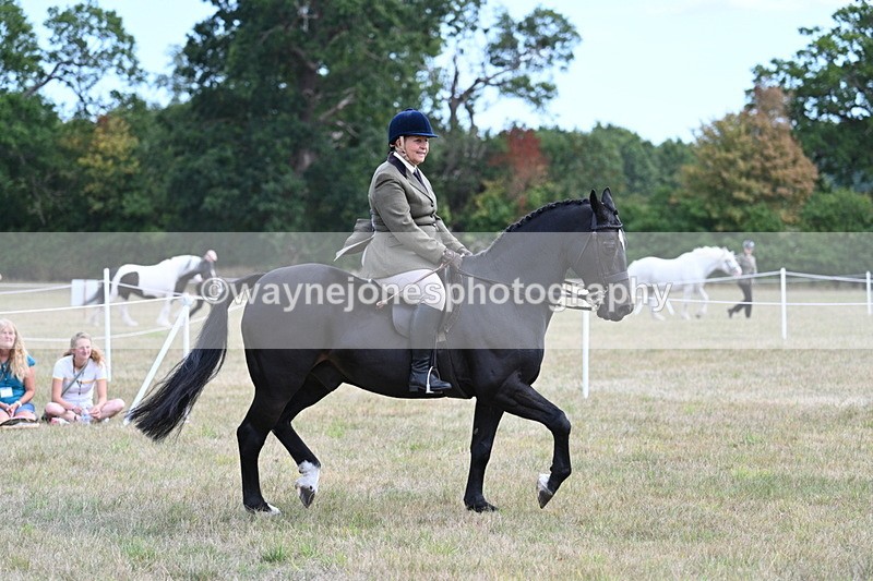 WJ7_5985 - Class 13 Ridden Veterans