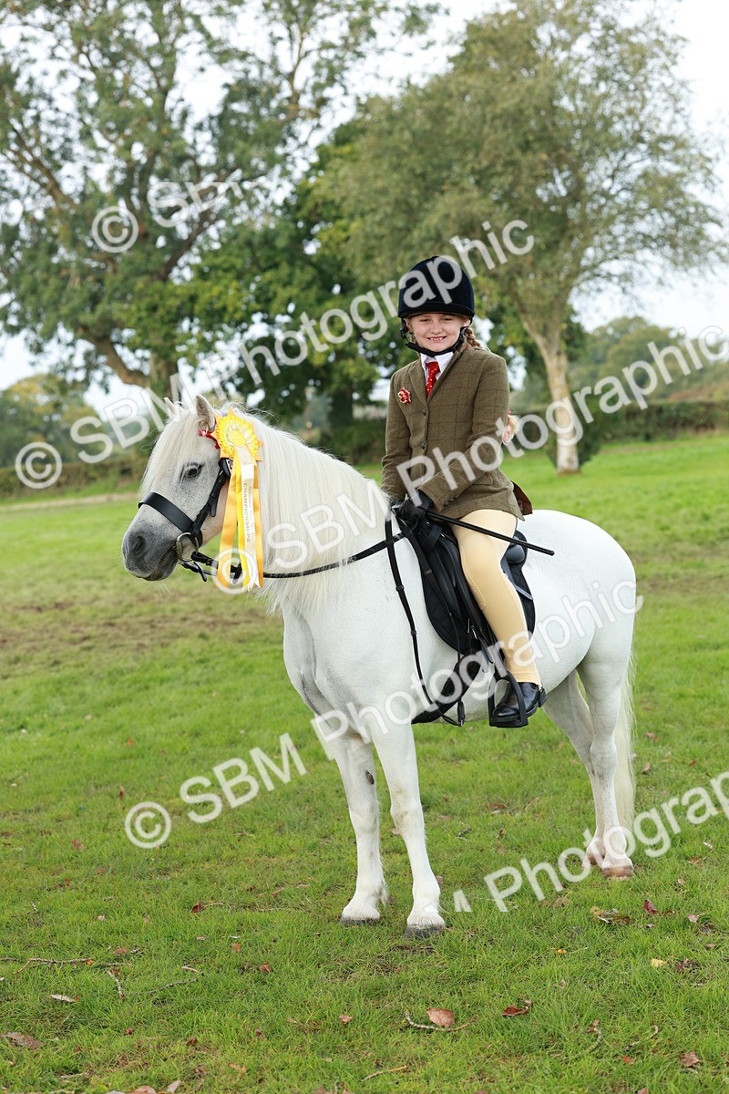 SBM_56485 - S39 - Starters In Hand Showing
