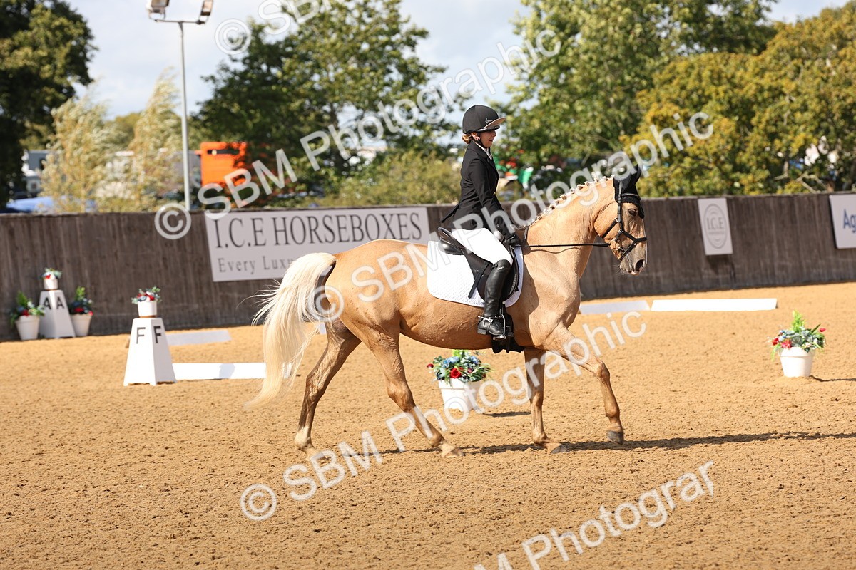 SBM_47408 - D12 - Small Tour Championship prelim 2