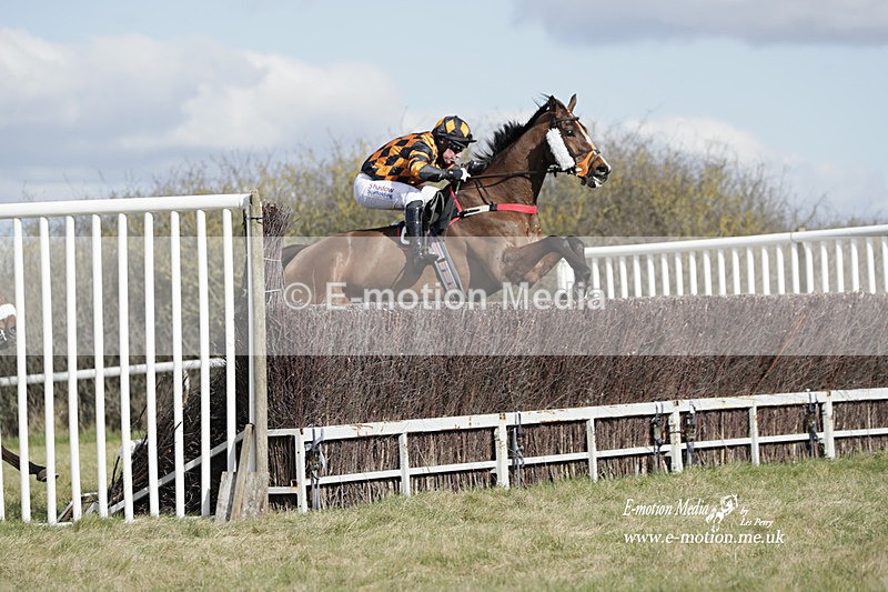 PtP 260223 451 - South & West Wilts Point-to-Point Larkhill 26/02/23