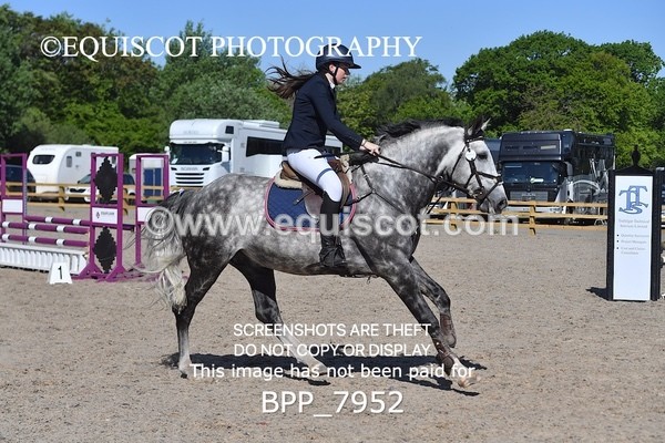 BPP_7952 - CLASS 1 - CLEAR ROUNDS