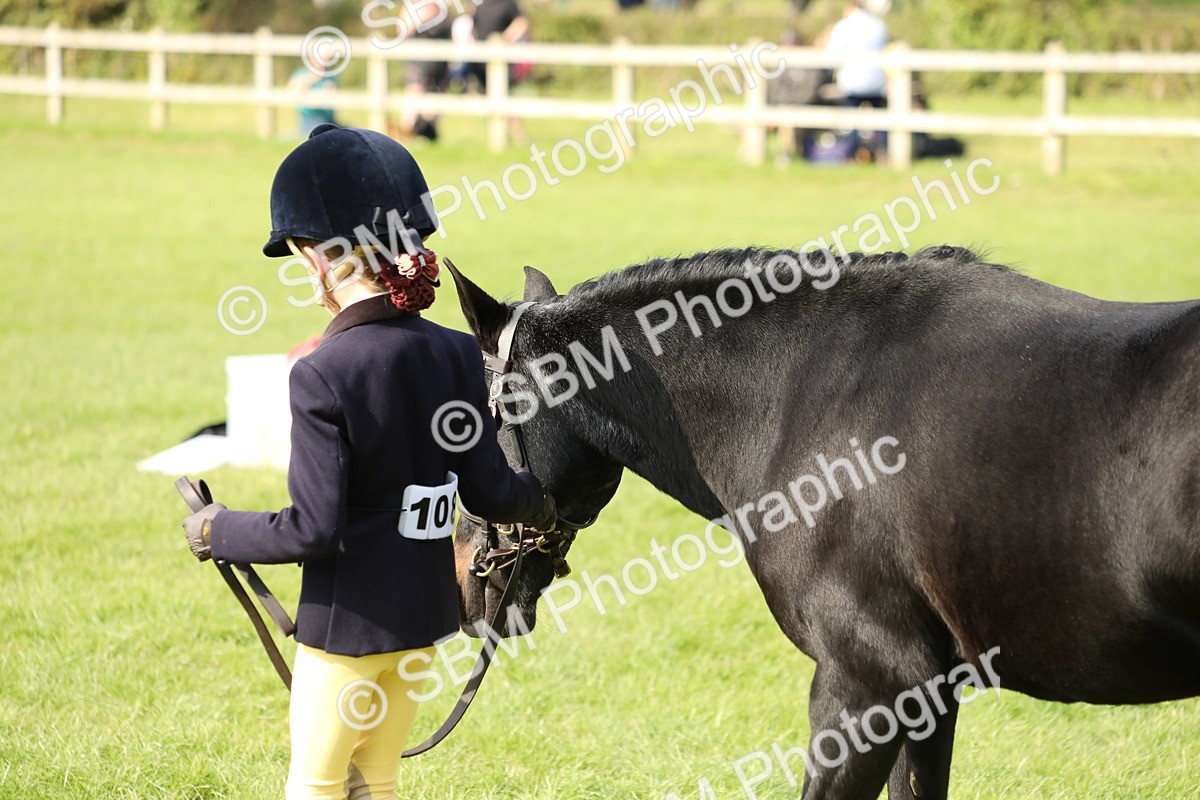 SBM_68579 - S40 - Junior Handler 9-12 Years