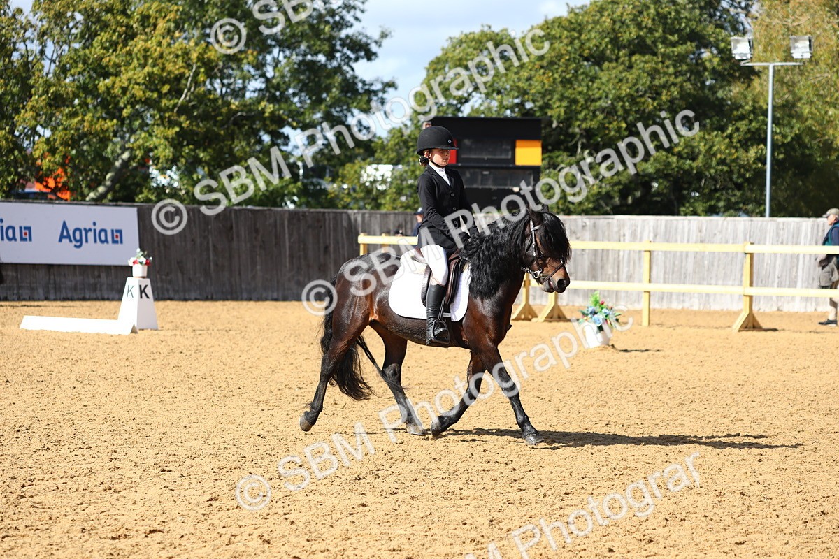SBM_49087 - D23 - Junior Championship Prelim 1